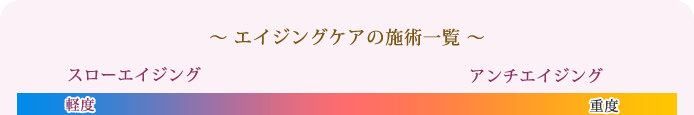 〜 エイジングケアの施術一覧 〜