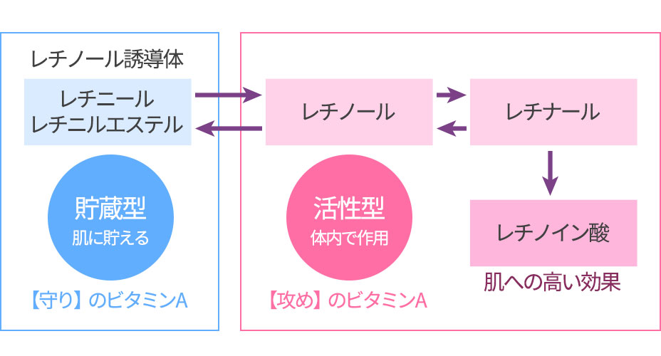 レチノールシステム